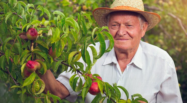 Farm Owners Insurance